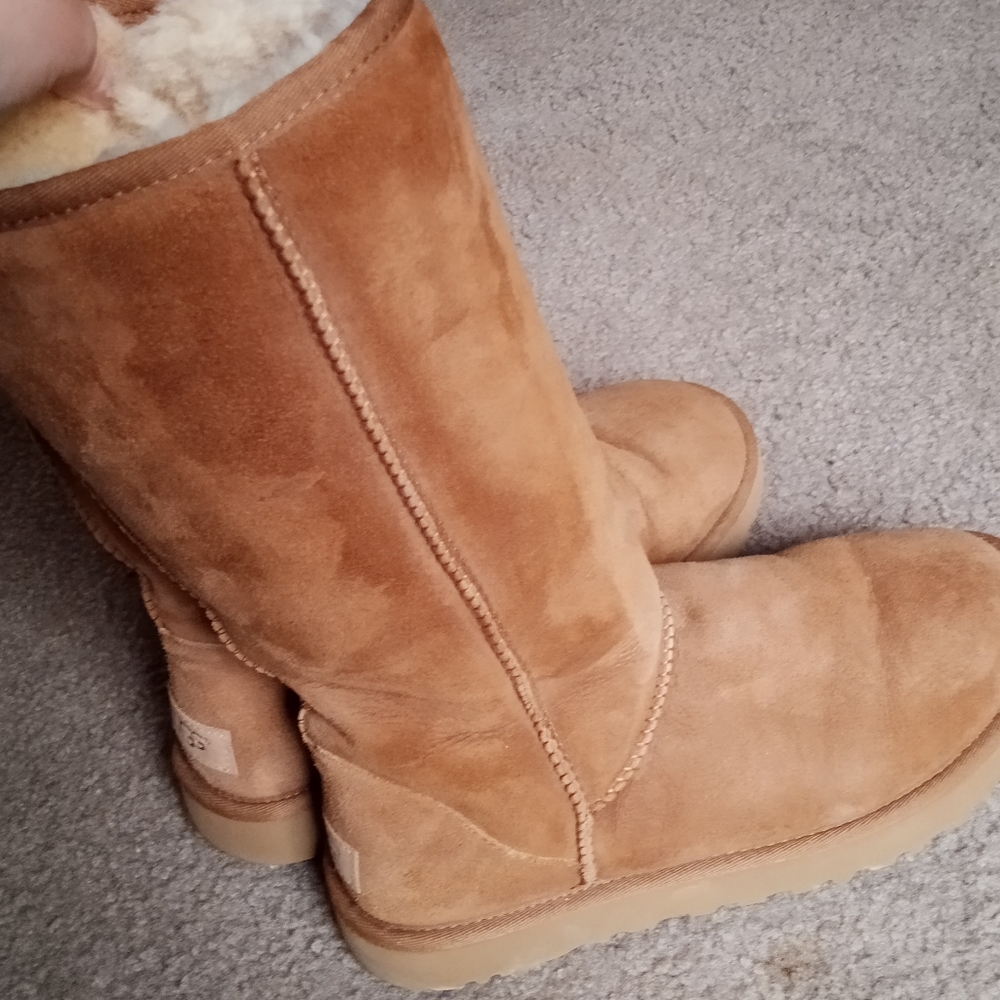 Tall, Chestnut UGGS- Like NEW!